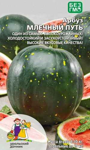 Арбуз МЛЕЧНЫЙ ПУТЬ