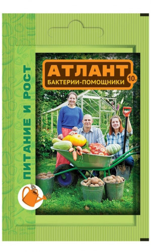 АТЛАНТ ПИТАНИЕ И РОСТ