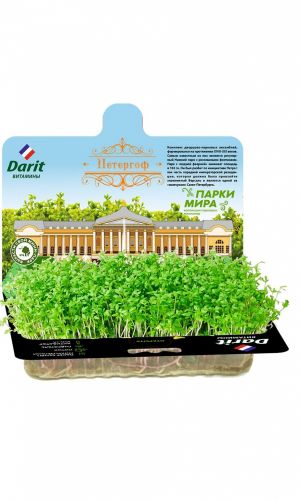 ДАРИТ (DARIT) НАБОР КРЕСС-САЛАТ