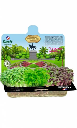 ДАРИТ (DARIT) НАБОР СЕЛЬДЕРЕЙ, БАЗИЛИК, КОРИАНДР