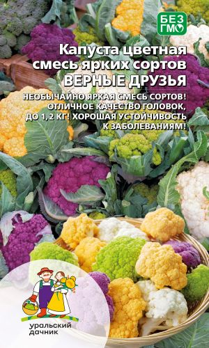 Капуста цветная ВЕРНЫЕ ДРУЗЬЯ