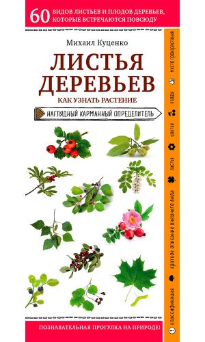 Книга ЛИСТЬЯ ДЕРЕВЬЕВ. КАК УЗНАТЬ РАСТЕНИЕ &mdash; Михаил Куценко