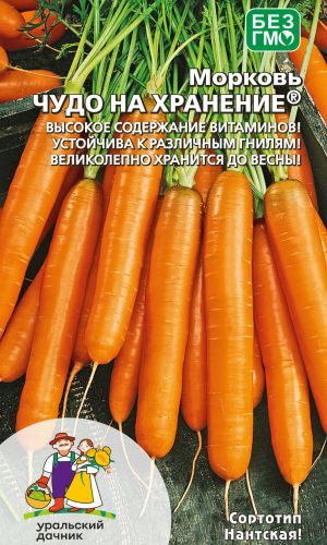 Морковь ЧУДО НА ХРАНЕНИЕ