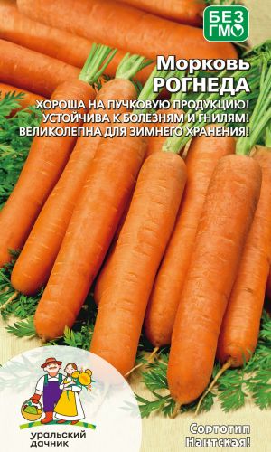 Морковь РОГНЕДА