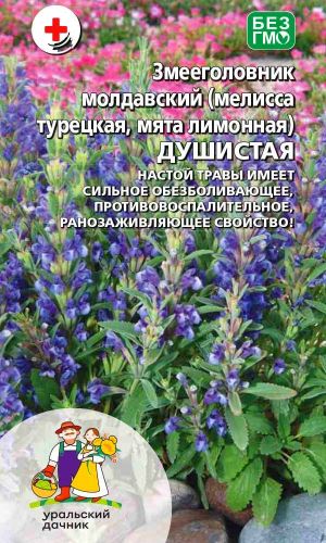 Мята лимонная ДУШИСТАЯ &mdash; Настой имеет сильное обезболивающее, противовоспалительное и ранозаживляющее свойство!