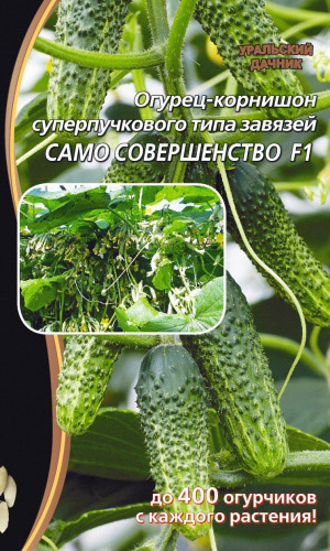 Огурец САМО СОВЕРШЕНСТВО F1