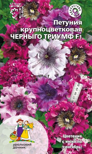 Петуния ЧЕРНЫГО ТРИУМФ F1 &mdash; диаметр цветка до 16 см!