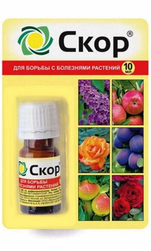 СКОР 10 мл