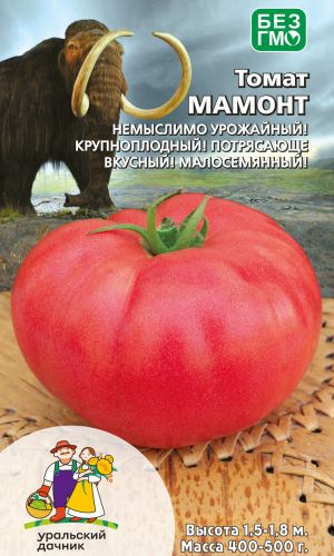 Томат МАМОНТ