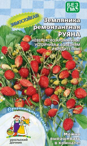 Земляника РУЯНА